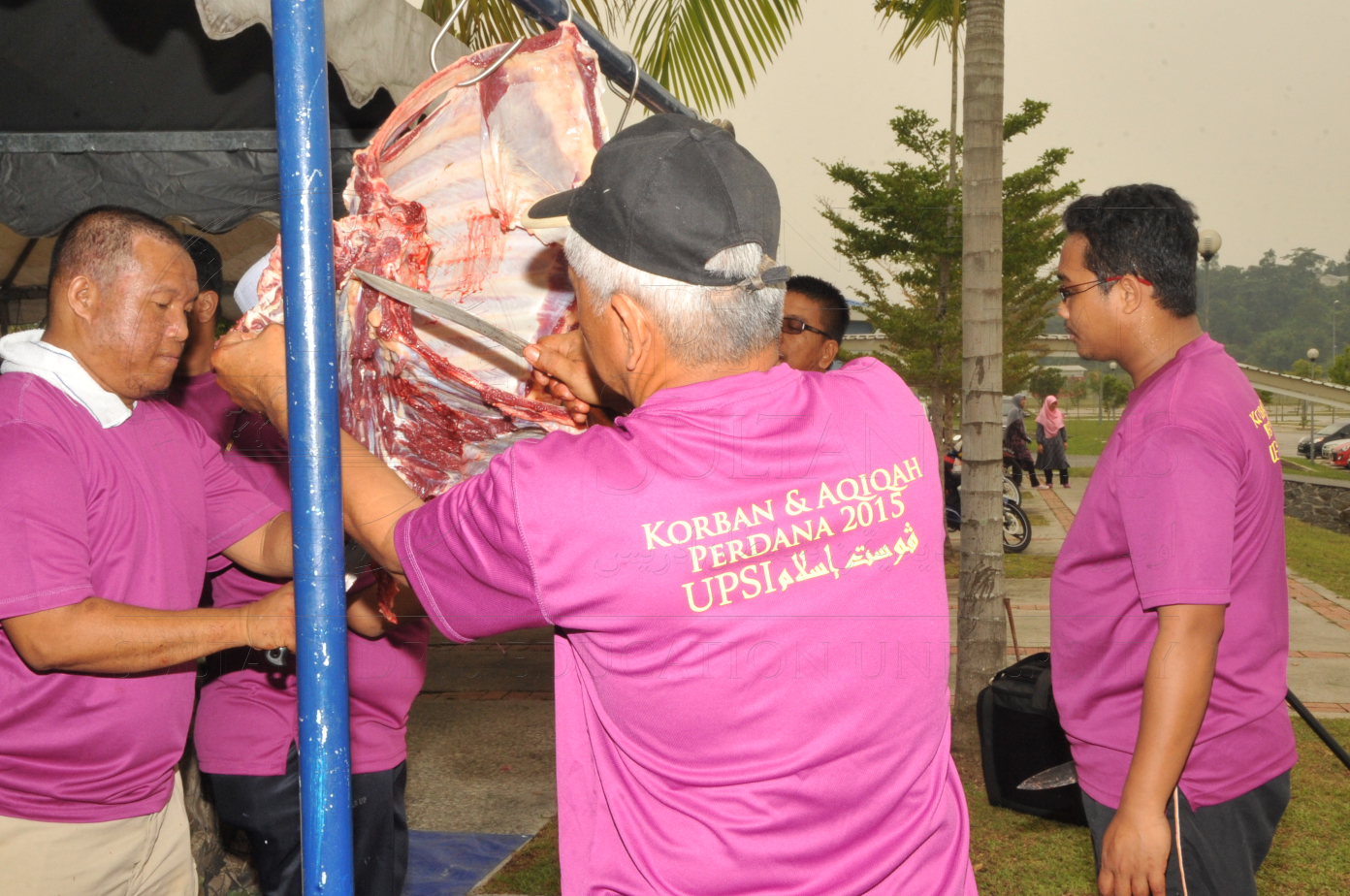 PRO15 150 KORBAN HAS 6907